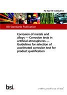 BS PD ISO/TR 16335:2013