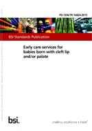 BS PD CEN/TR 16824:2015